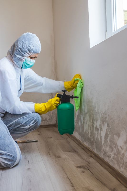 Mold Remediation Service detail