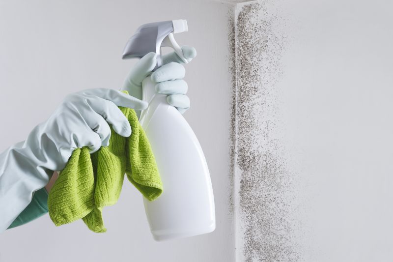 Mold Removal