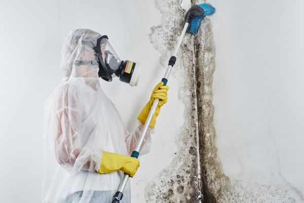 Garage Mold Removal